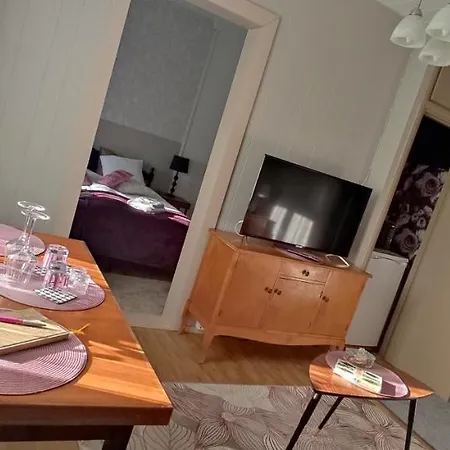 Kortteer Pinkki Huone