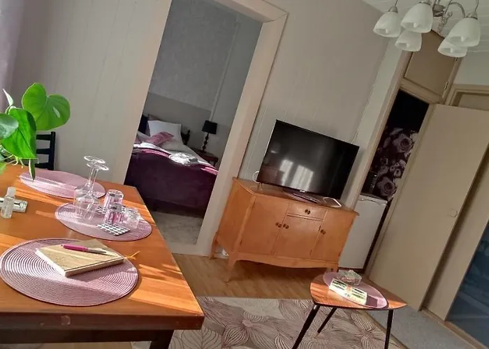 Kortteer Pinkki Huone