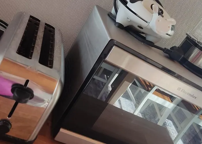 Kortteer Pinkki Huone Проживание в семье Раума